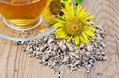 Un decotto di radici di girasole rimuove i sali dalla cartilagine articolare nell'osteocondrosi toracica